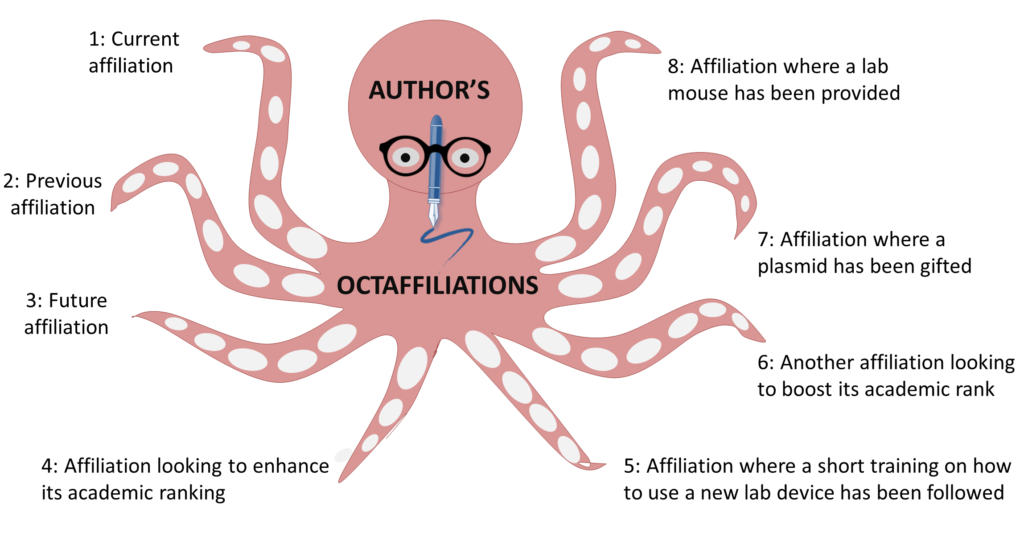 Octopus affiliation